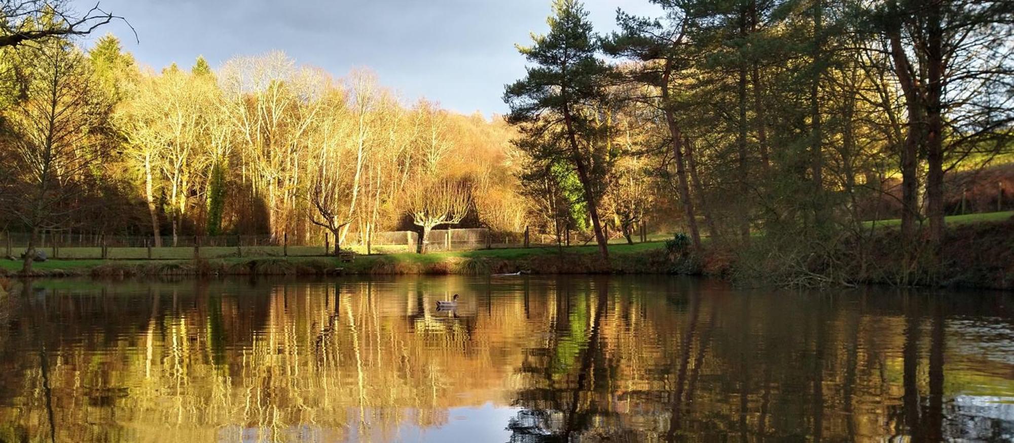 Le Petit Lac Bourganeuf Dış mekan fotoğraf